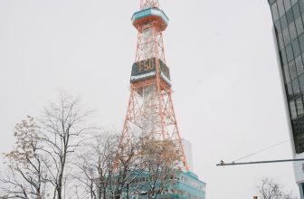 Sapporo Snow Festival