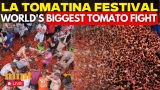 La Tomatina 2026 Guide: Tickets, Survival Tips & Local Secrets