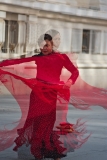 Seville 2026: Experience the Heart of Flamenco & History