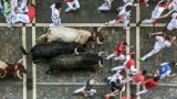 Running of the Bulls 2026: San Fermin Festival Guide in Pamplona